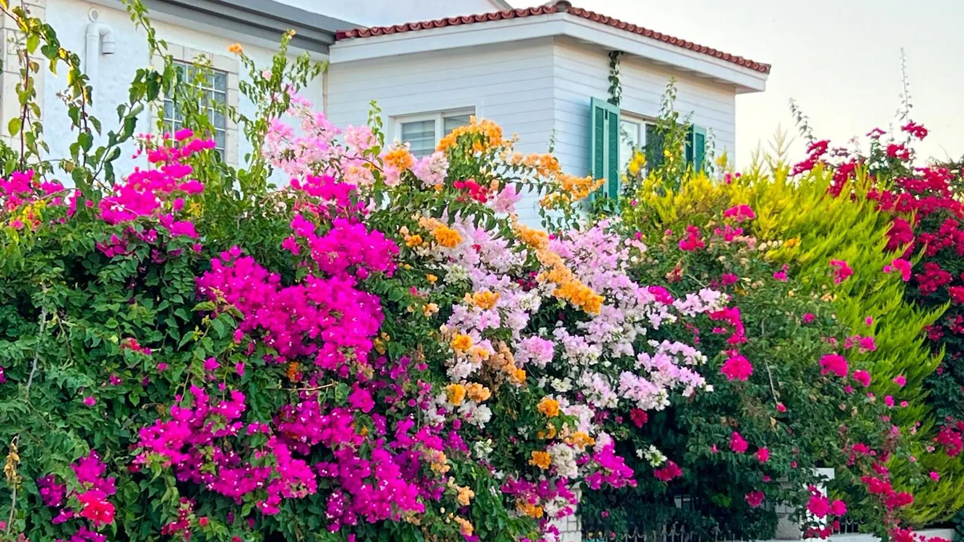 Alacati Xl Luxury Hotel Çeşme
